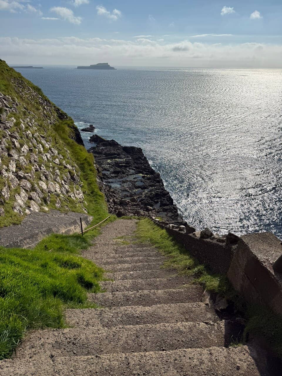 Puffin Spotting