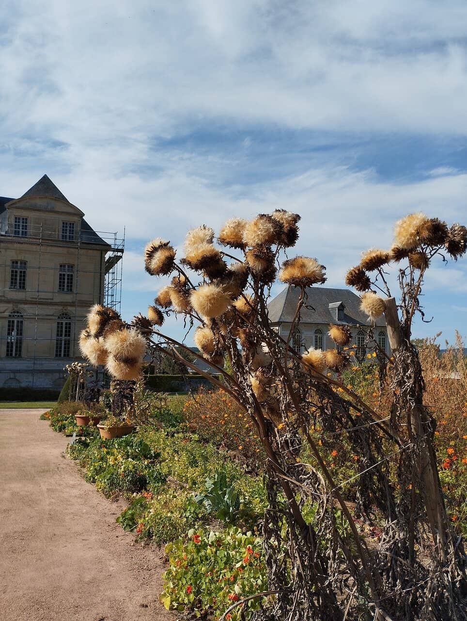 The Garden Labyrinth