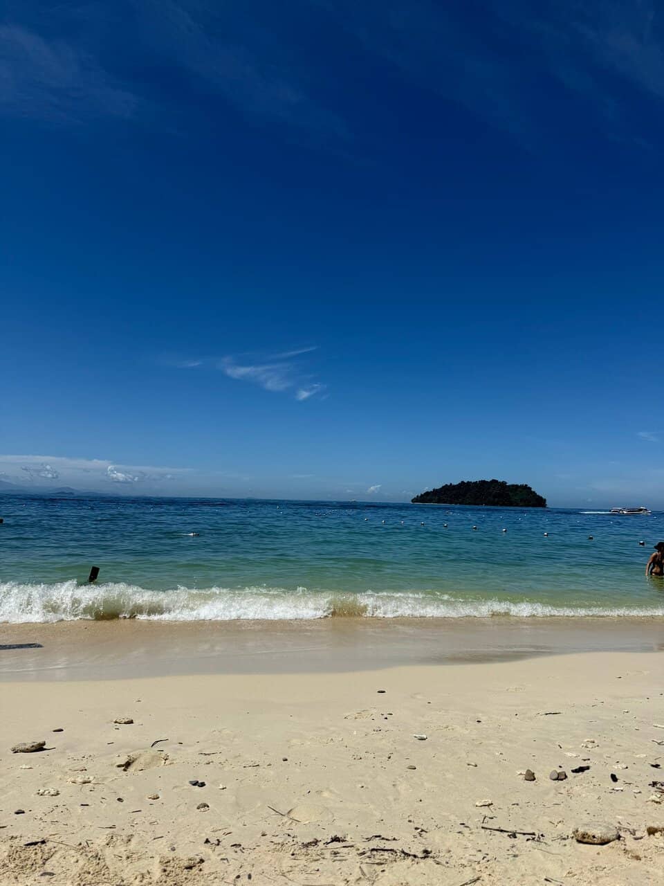 Vertical photo