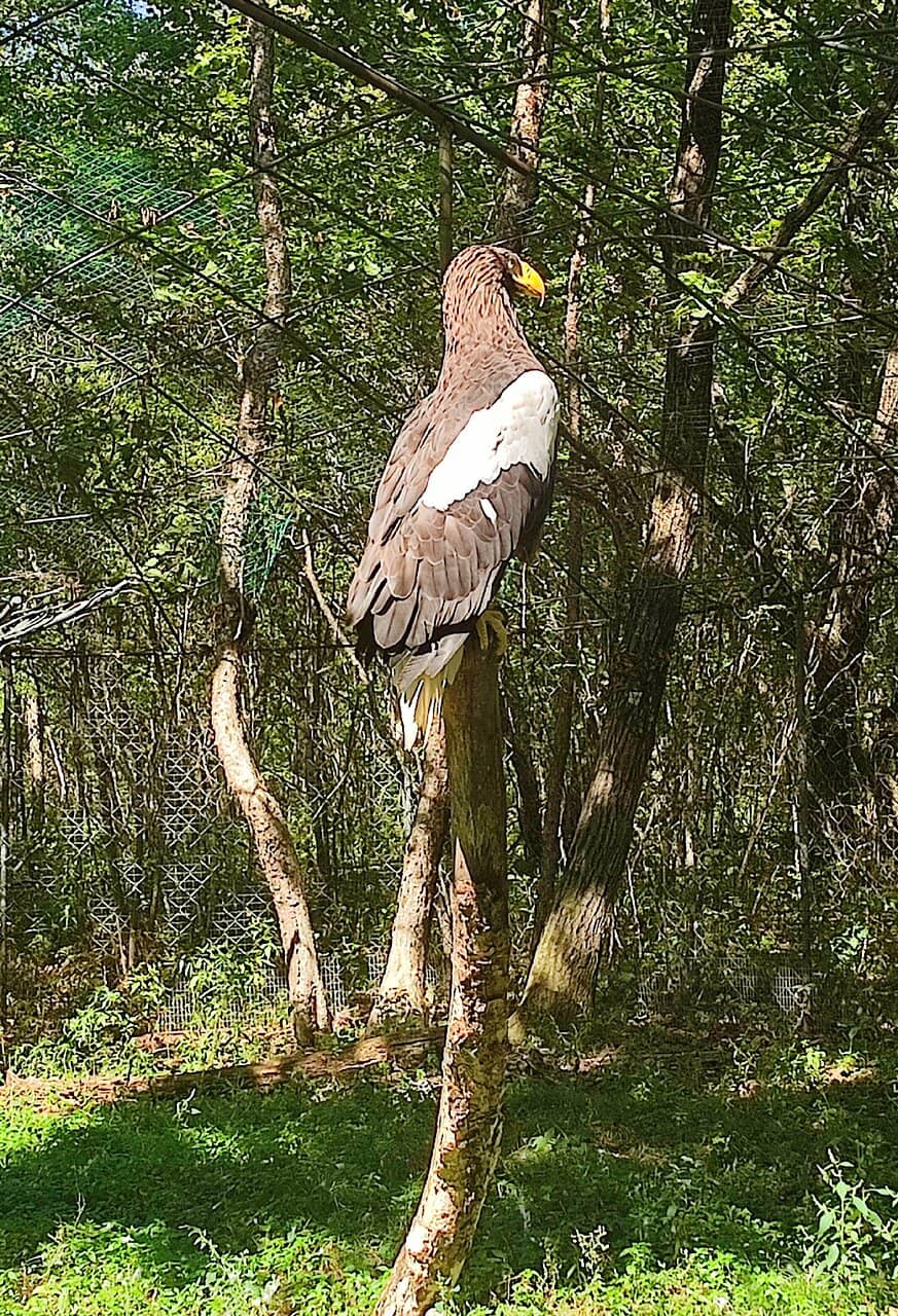 The Unlikely Friendship