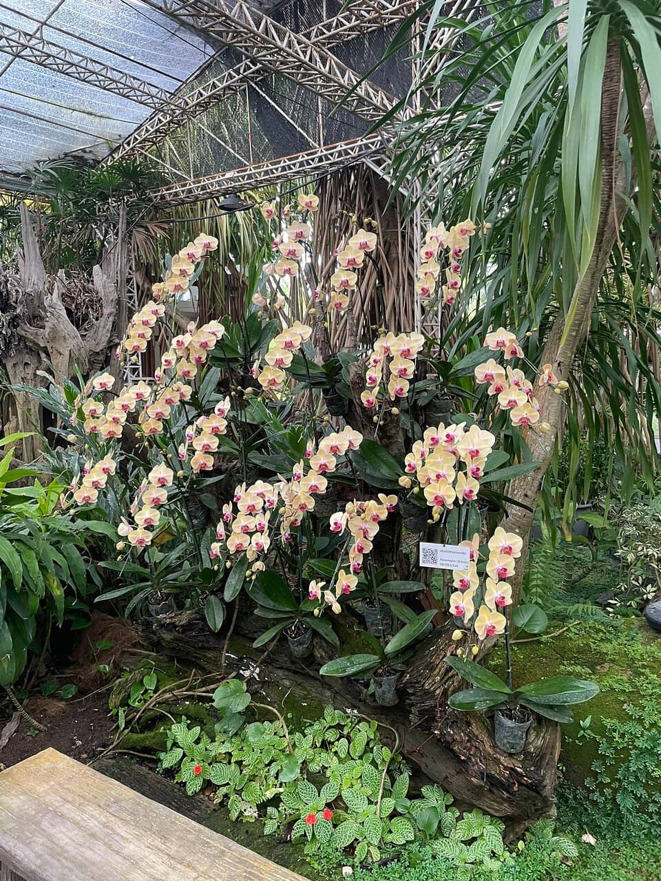 Themed Gardens Galore