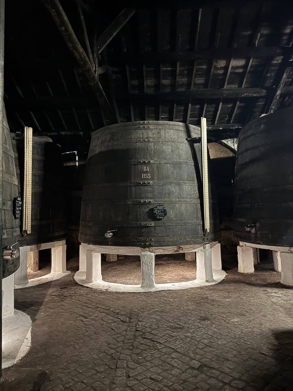 Port Wine Tasting