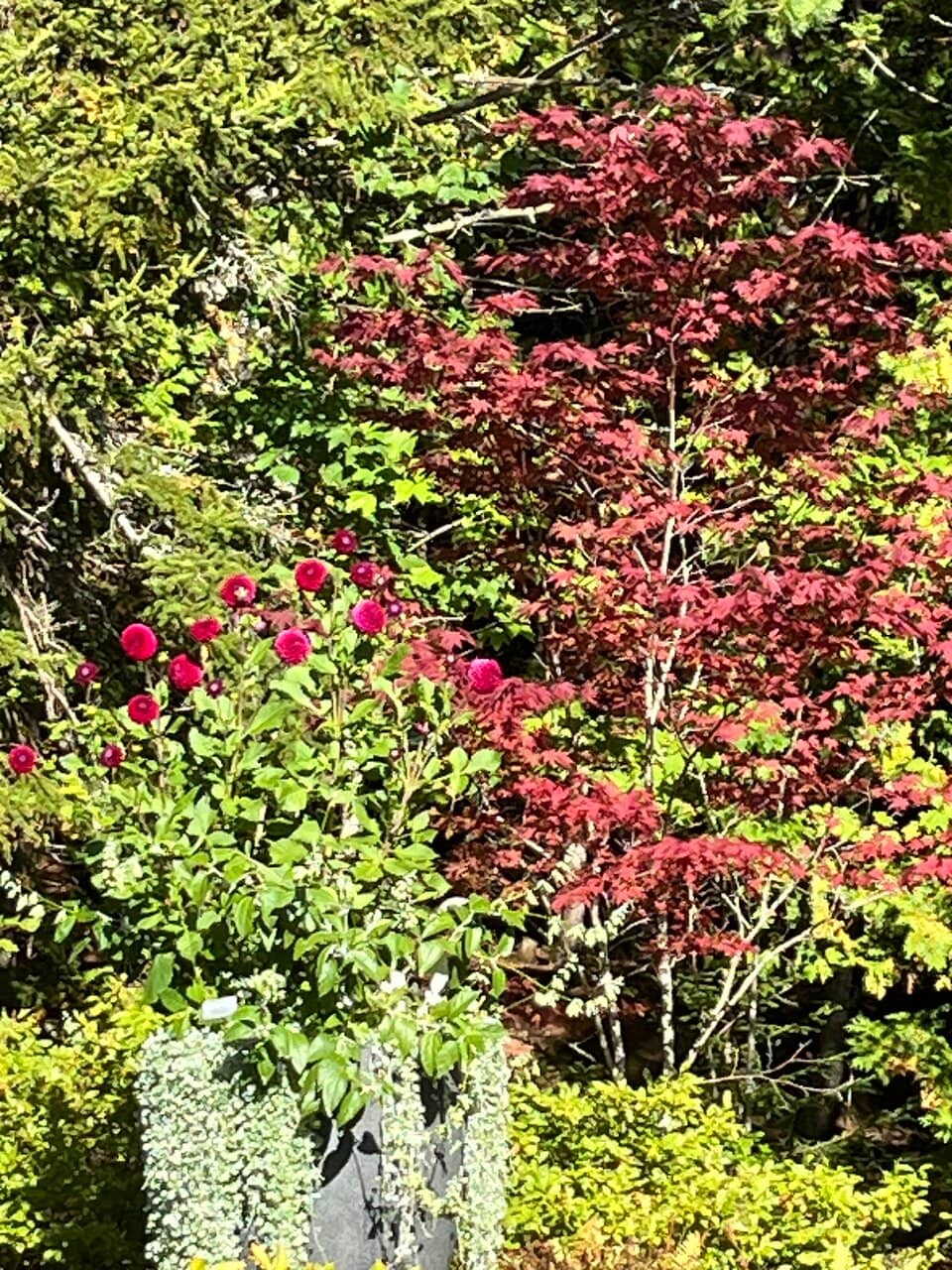 Views of Northeast Harbor