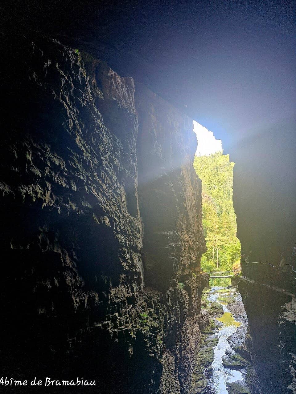 Forest Walk to the Entrance