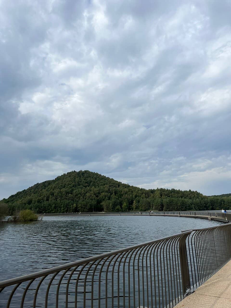 Joekelbos Play Forest