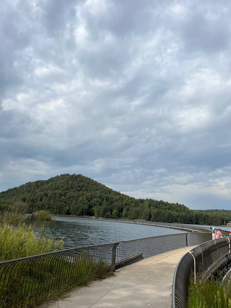Purple Heather Bloom
