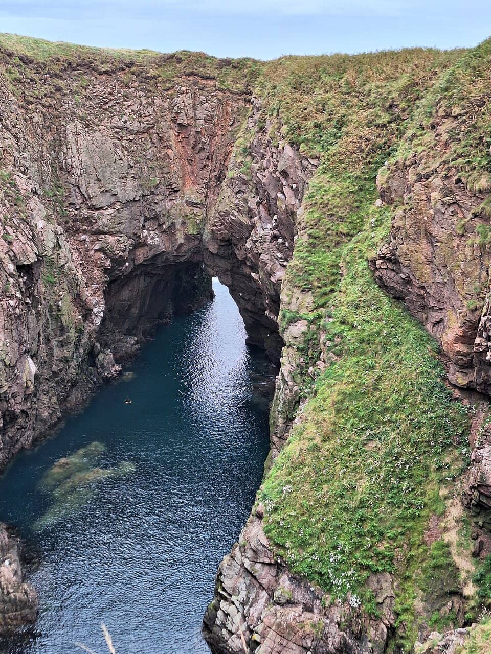 Vertical photo