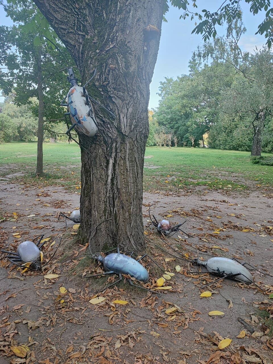Themed Outdoor Gardens