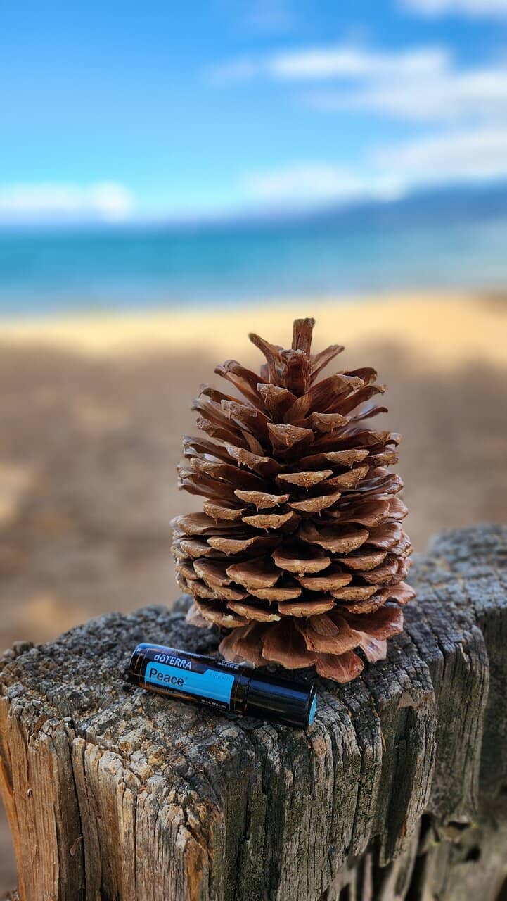 Vertical photo