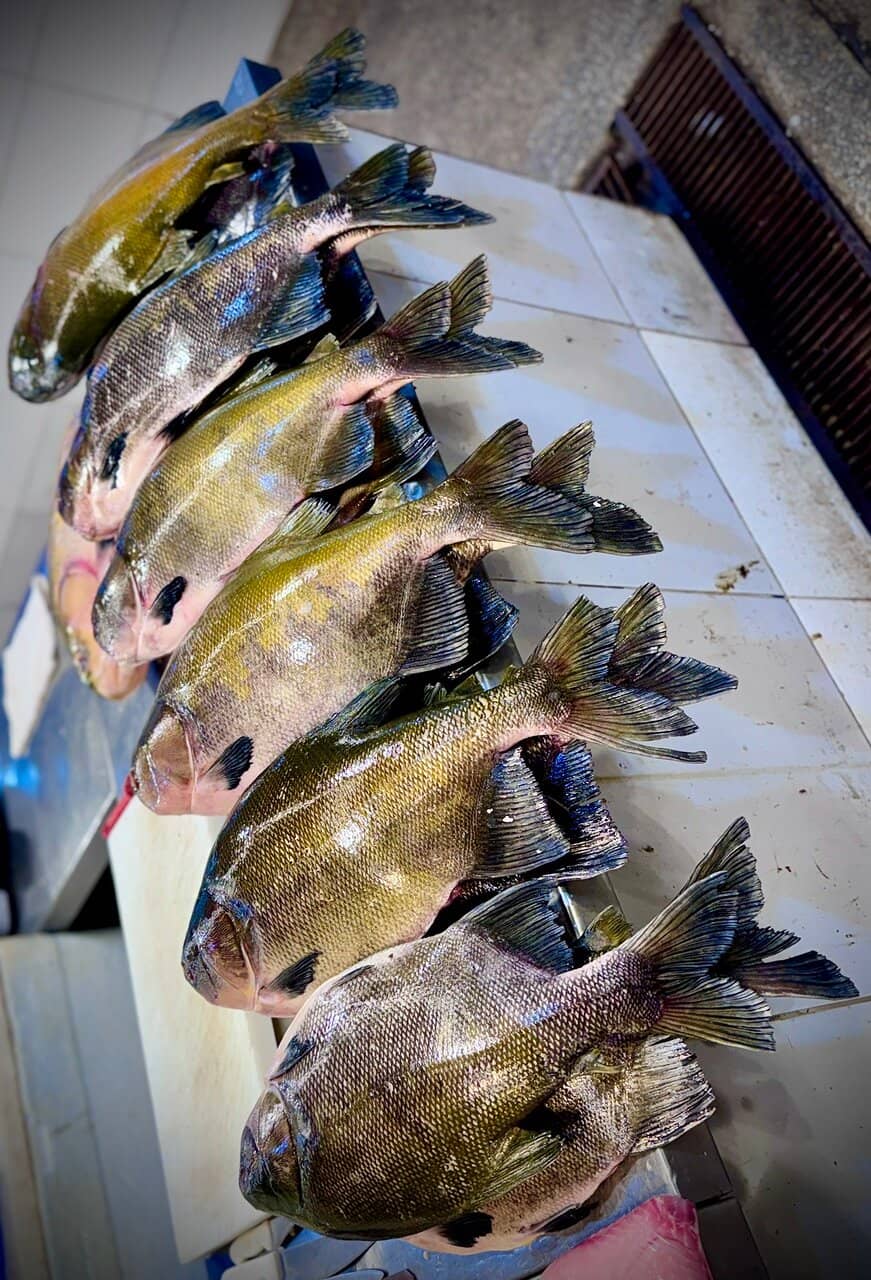 Historic Architecture