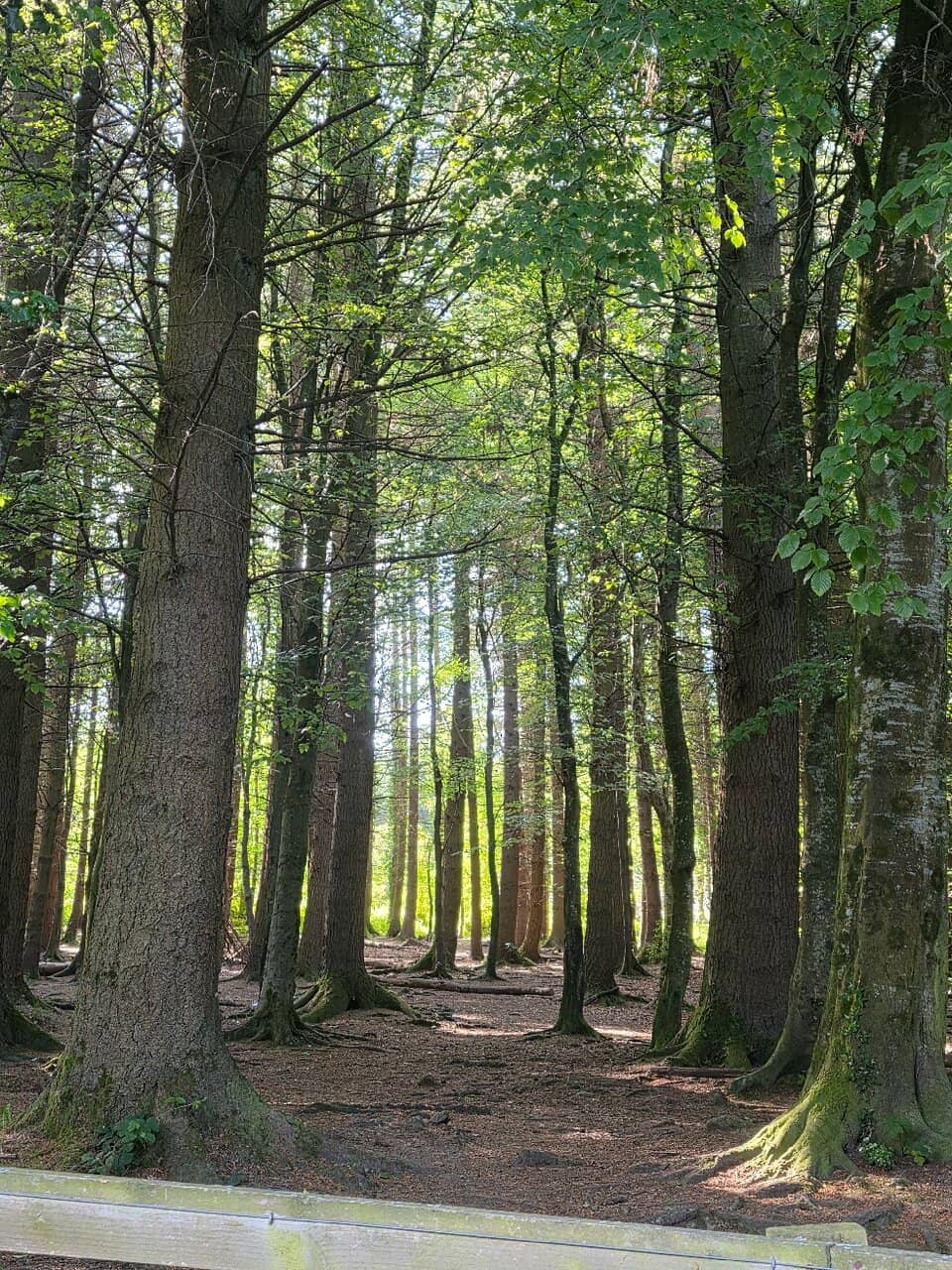 Panoramic Dublin Views