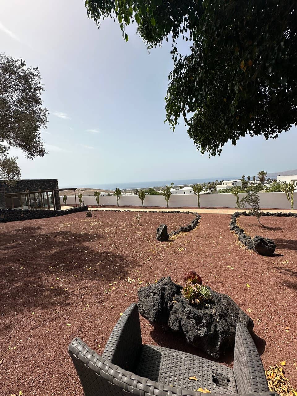 The Olive Tree and Ash Sculpture