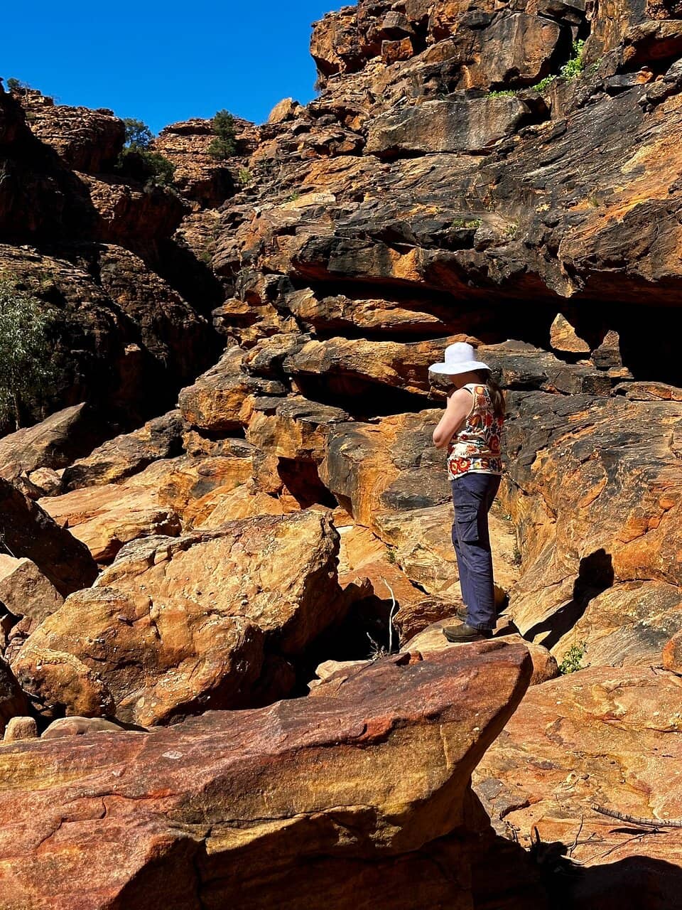 Bynguano Range Track