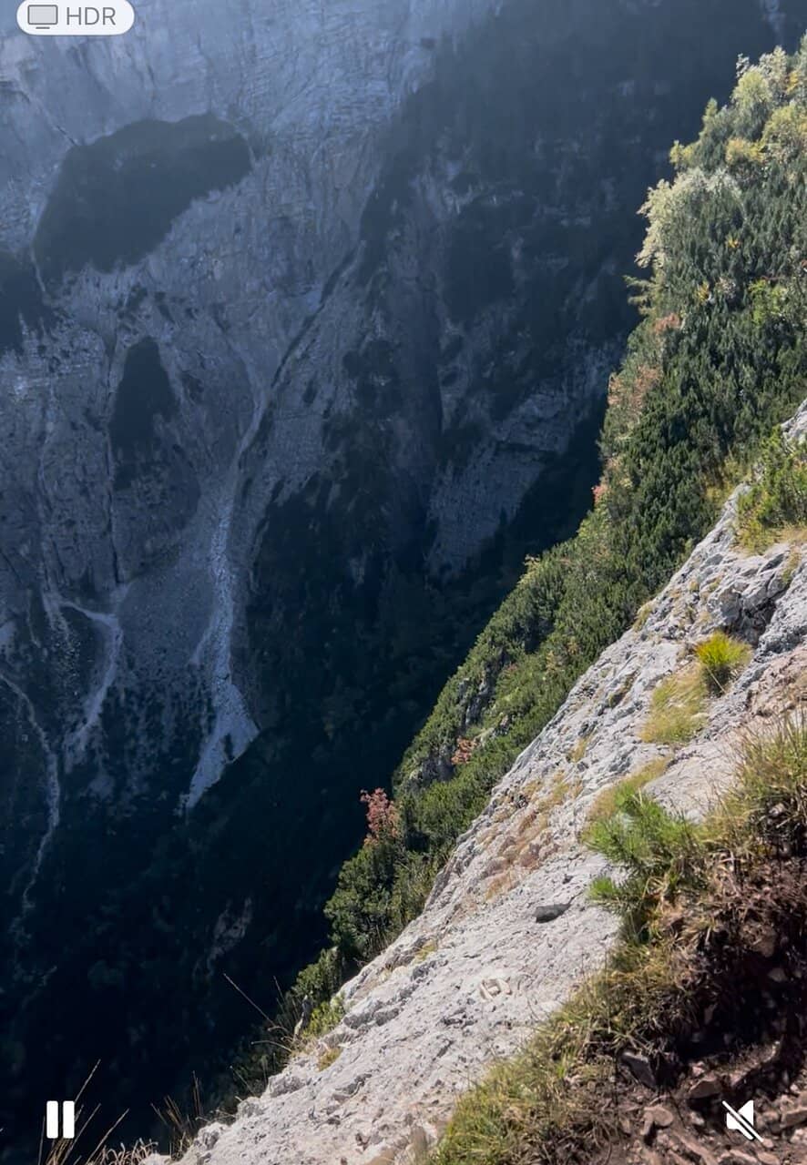 Vertical photo