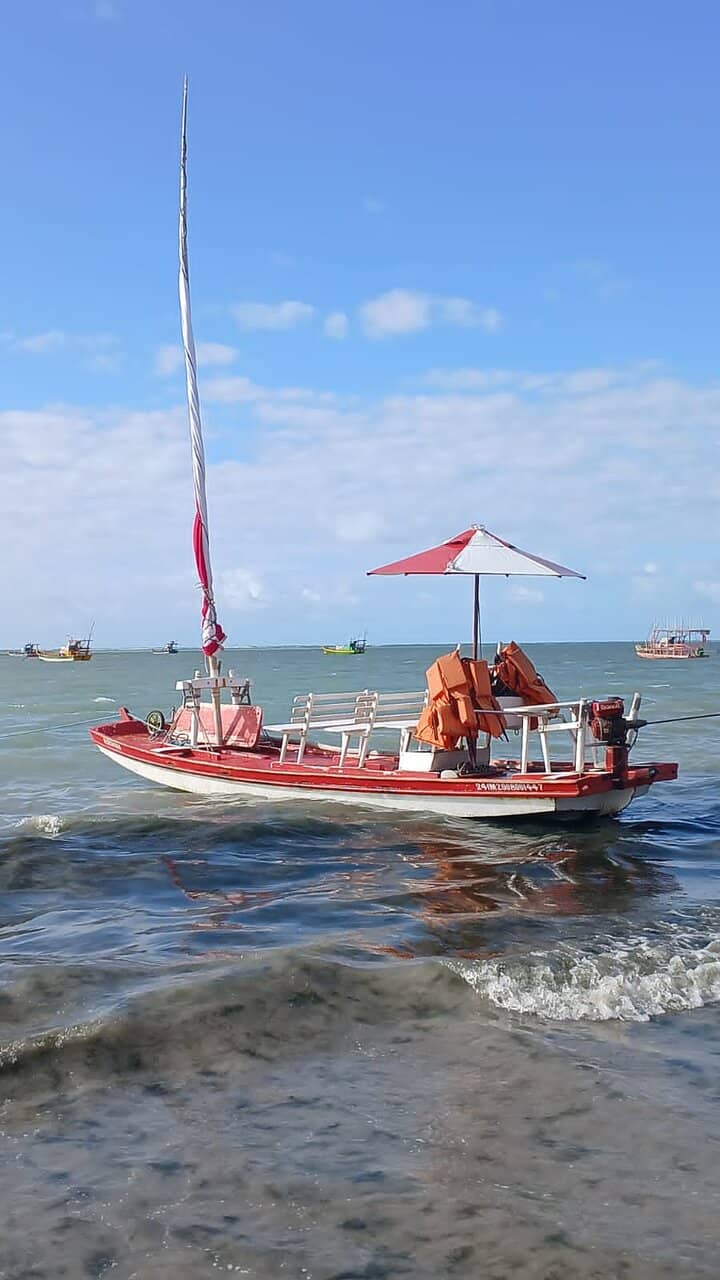 Snorkeling in Coral Reefs