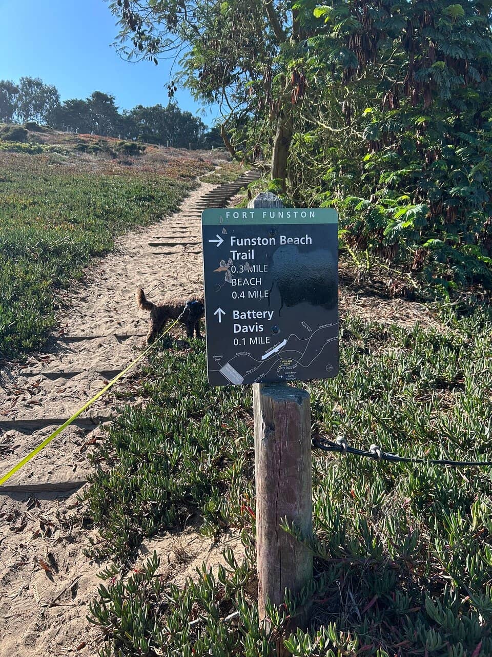 Hang Gliding Spectacle