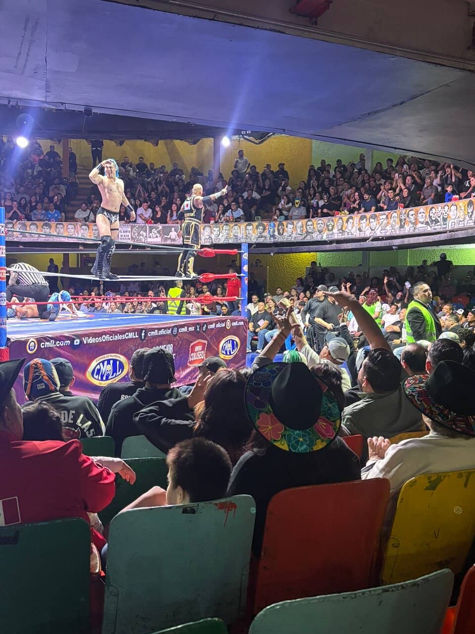 The Electric Atmosphere