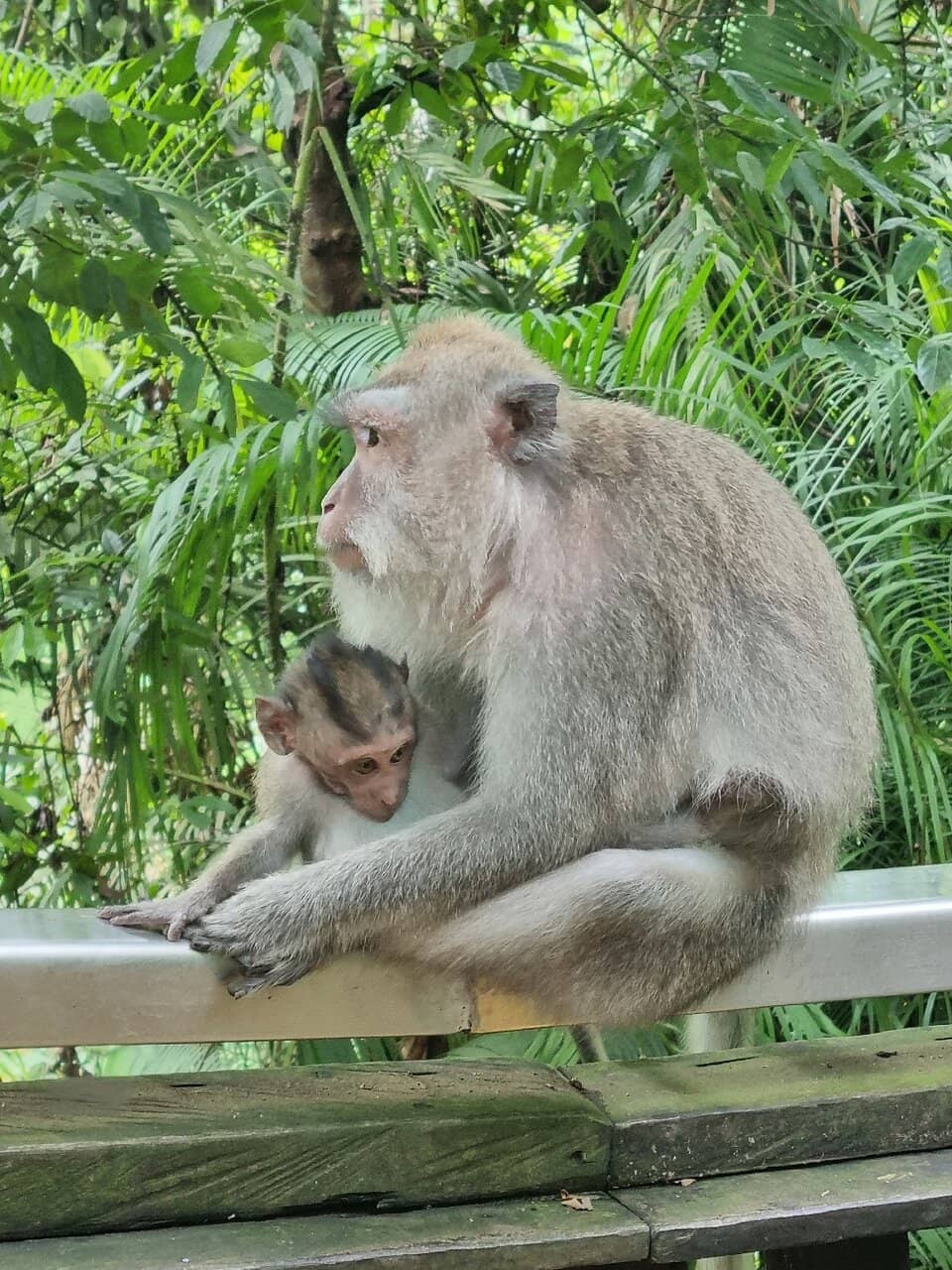 Informative Staff Talks