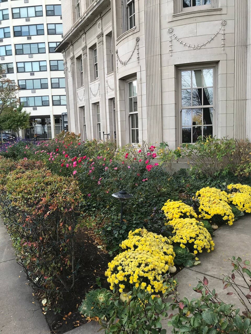 Luxury Shopping on Michigan Ave