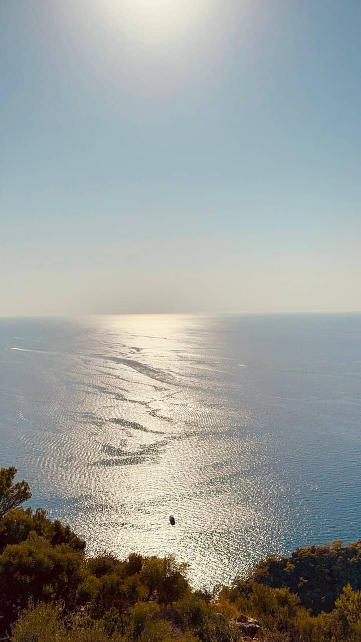 Vertical photo