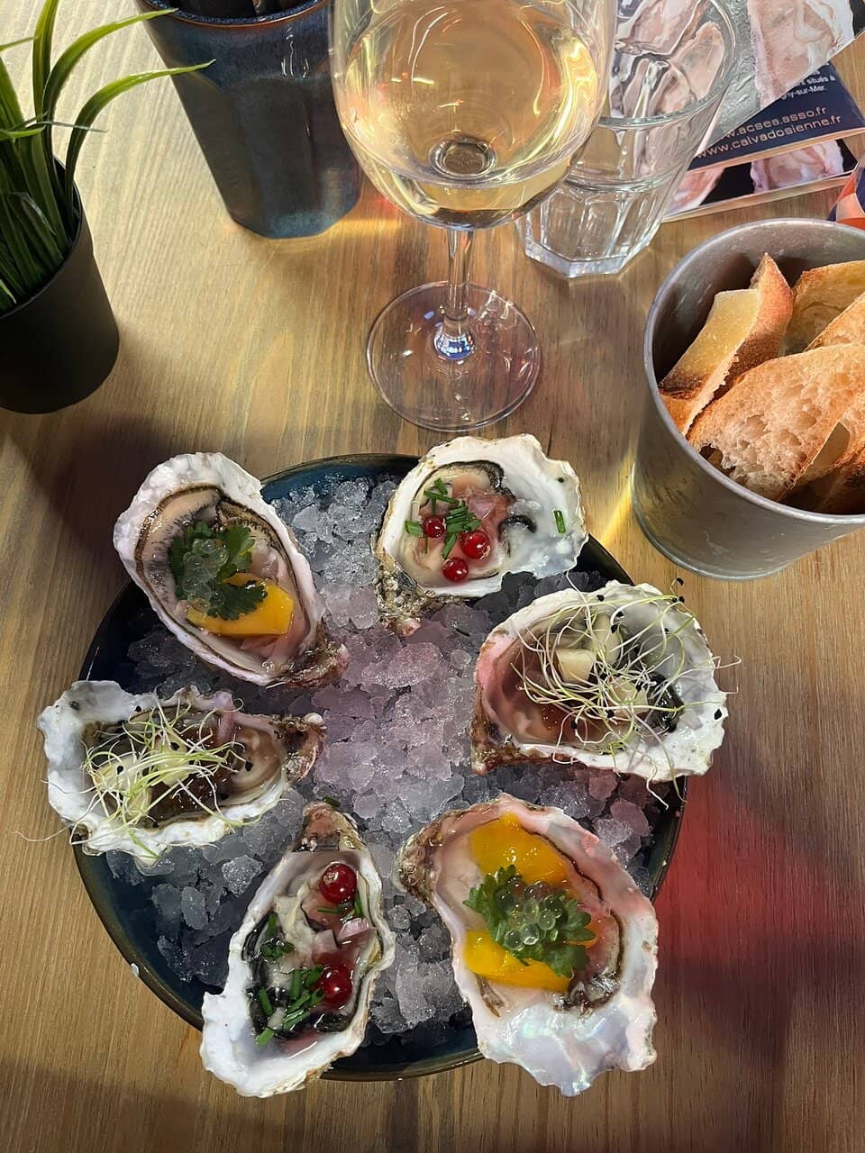 Harborfront Intimacy