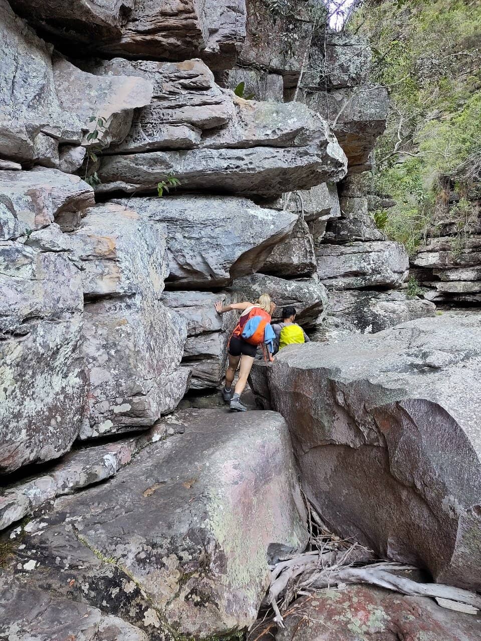 Vertical photo