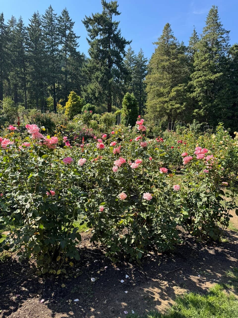 Panoramic Loire River Views