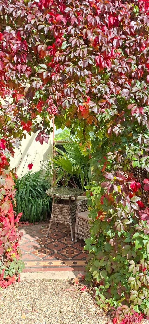 Restored Family Rooms