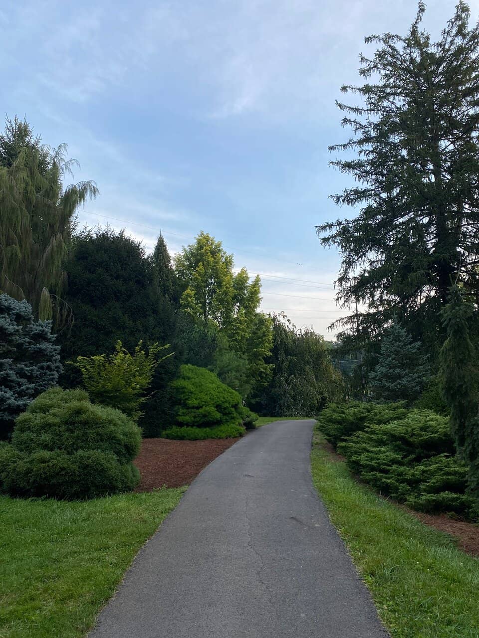 Boardwalk Trail