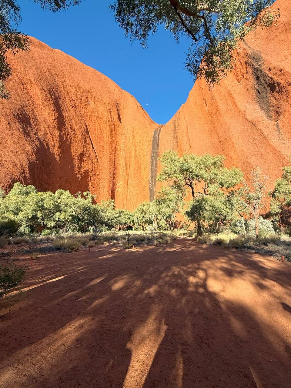 Vertical photo