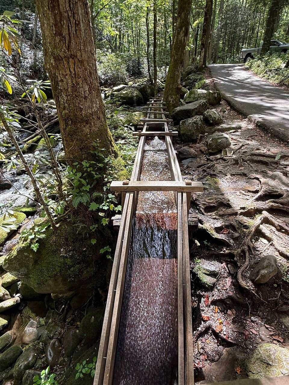 Mobile Sauna Experience