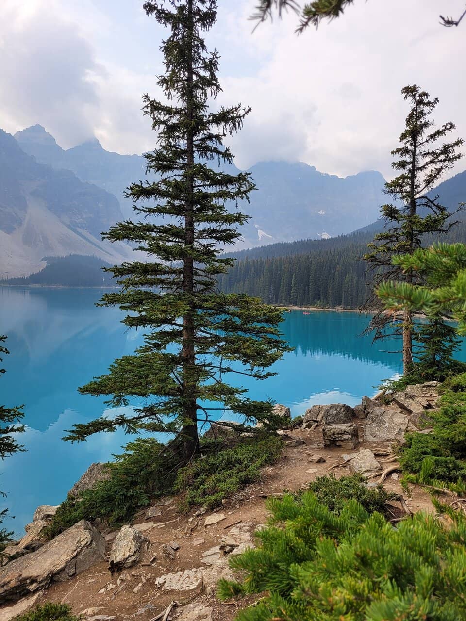 Emmons Glacier Views