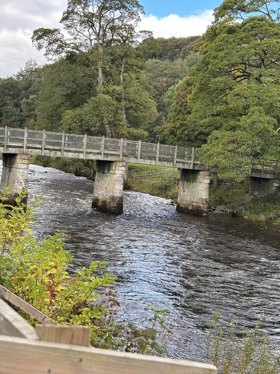 The Strid