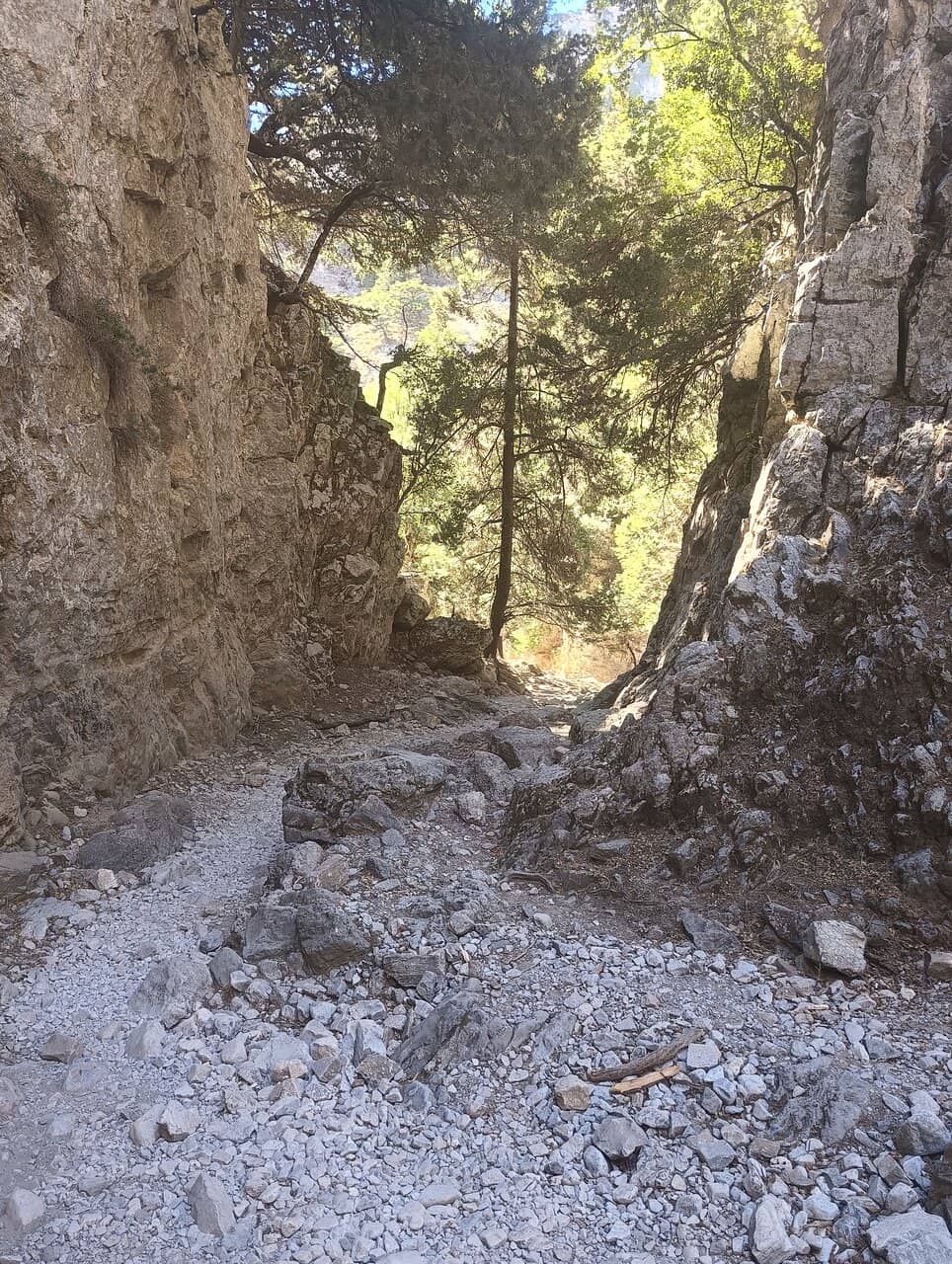 Rocky Canyon Trails