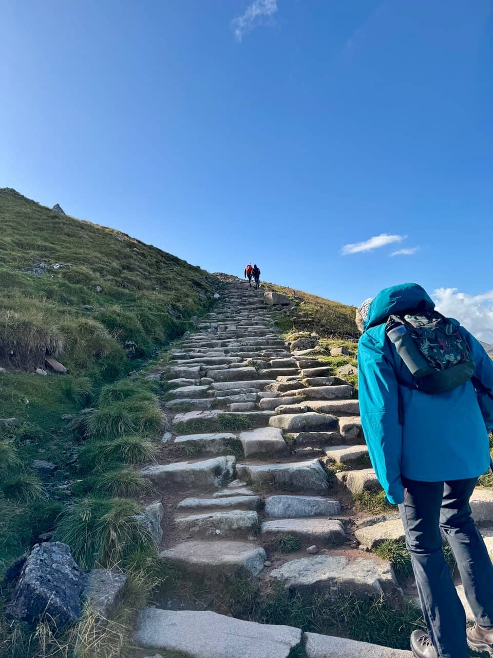 The Summit View