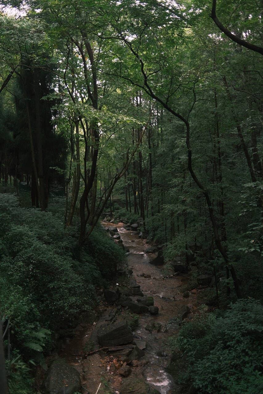 Ancient Taoist Temples