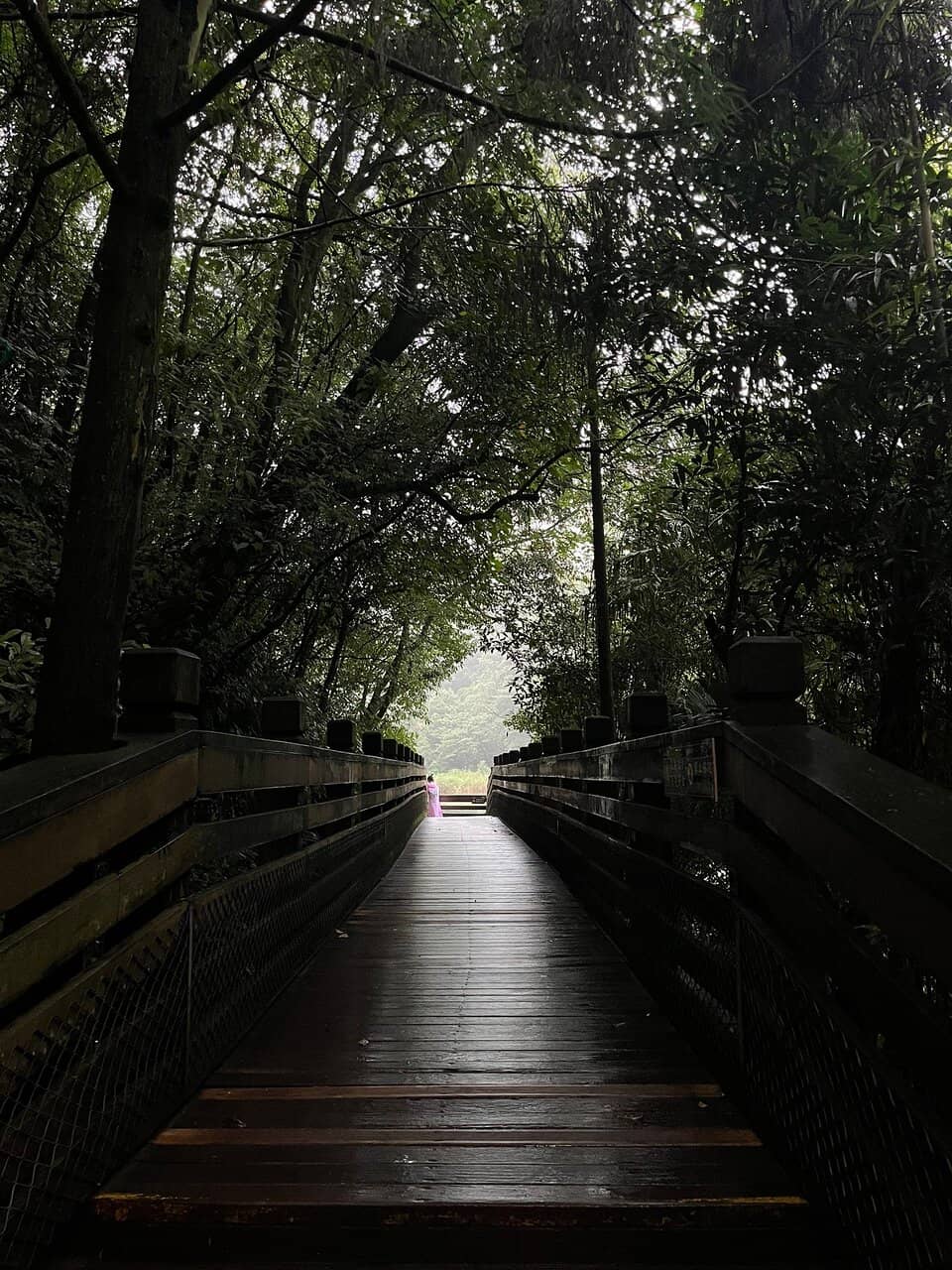 Bridges Over Streams