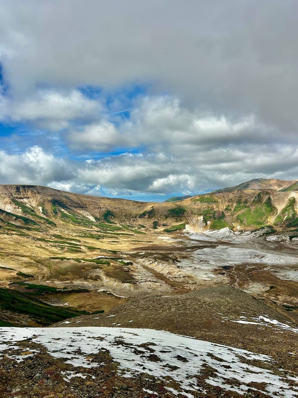 Alpine Flora and Fauna