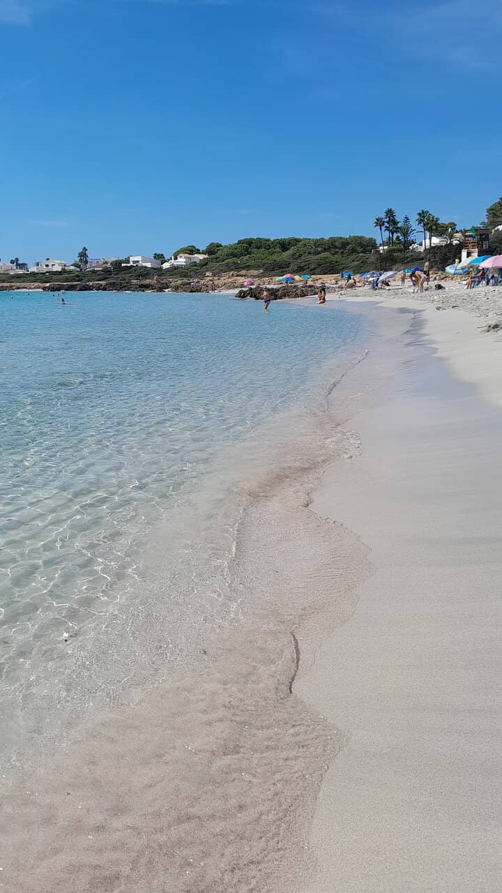 Cala en Bosch Marina