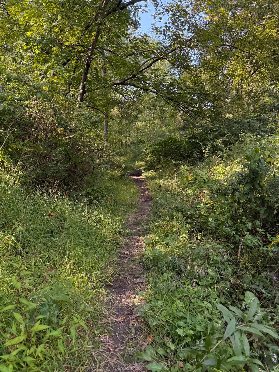 Horseback Riding Trails