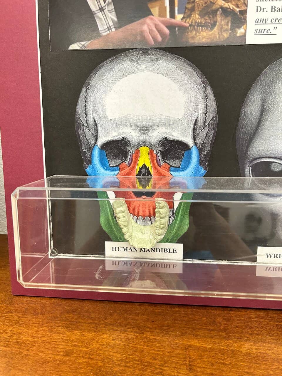 Highlights