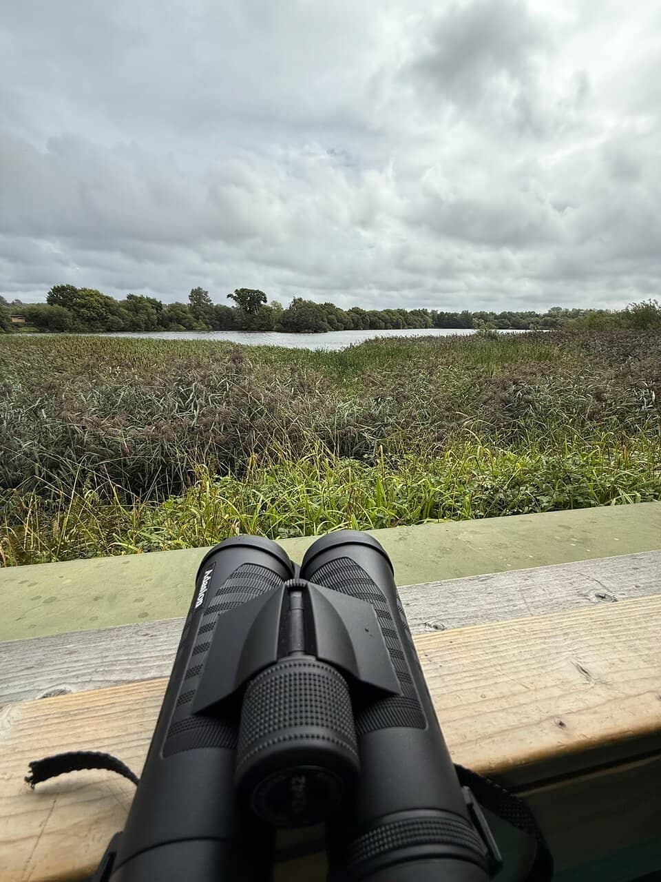 Diverse Birdlife