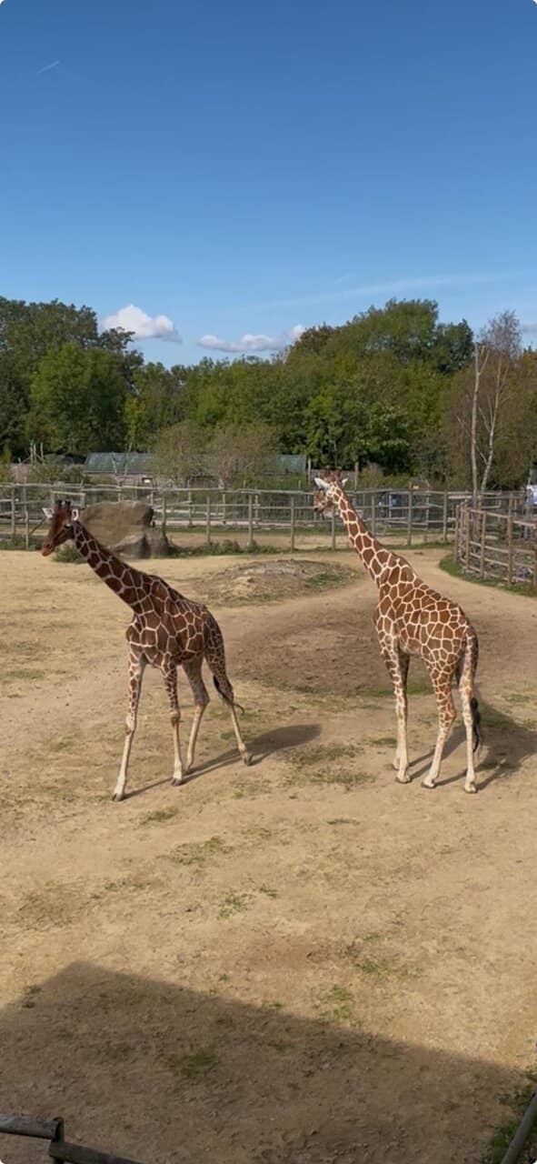 Andy's Adventure Theme