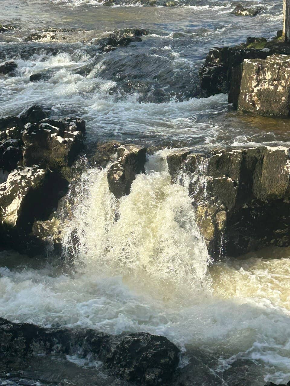 Vertical photo