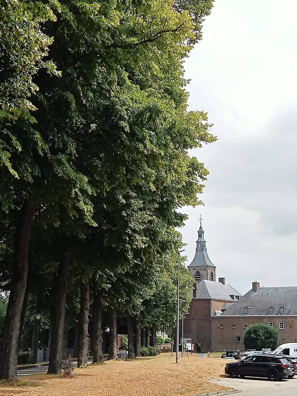 Vertical photo