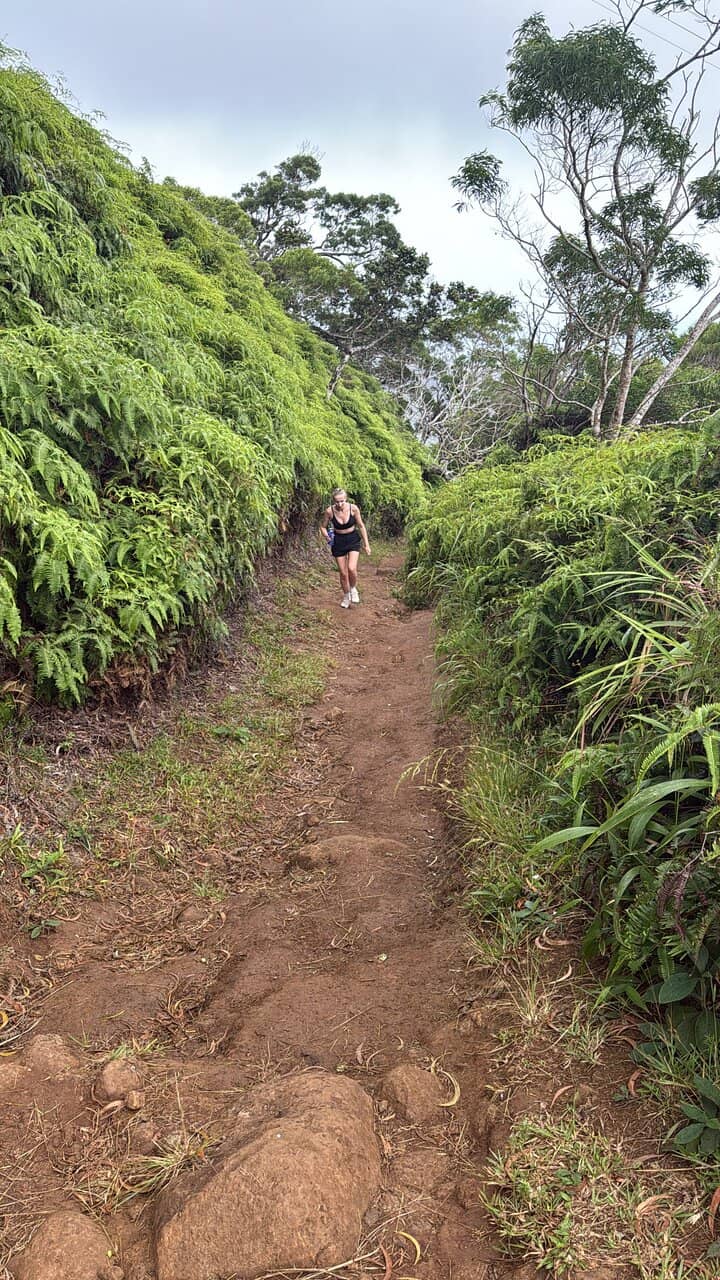 Panoramic Summit Views