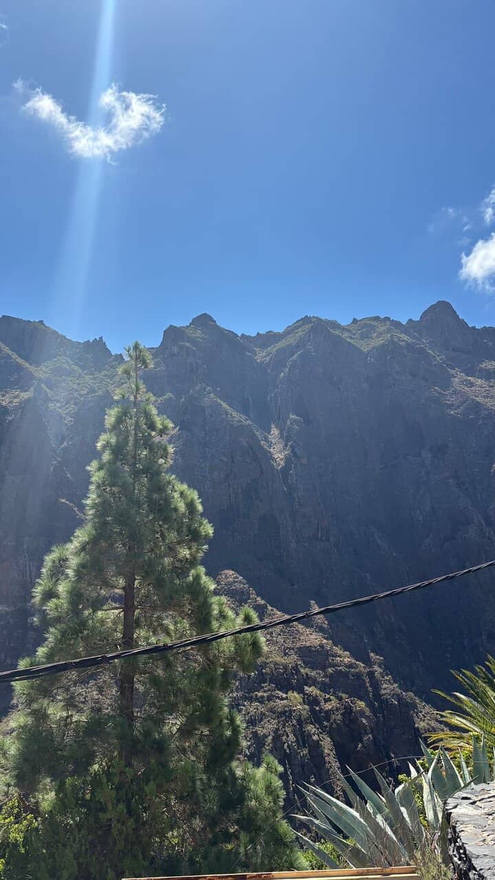Vertical photo