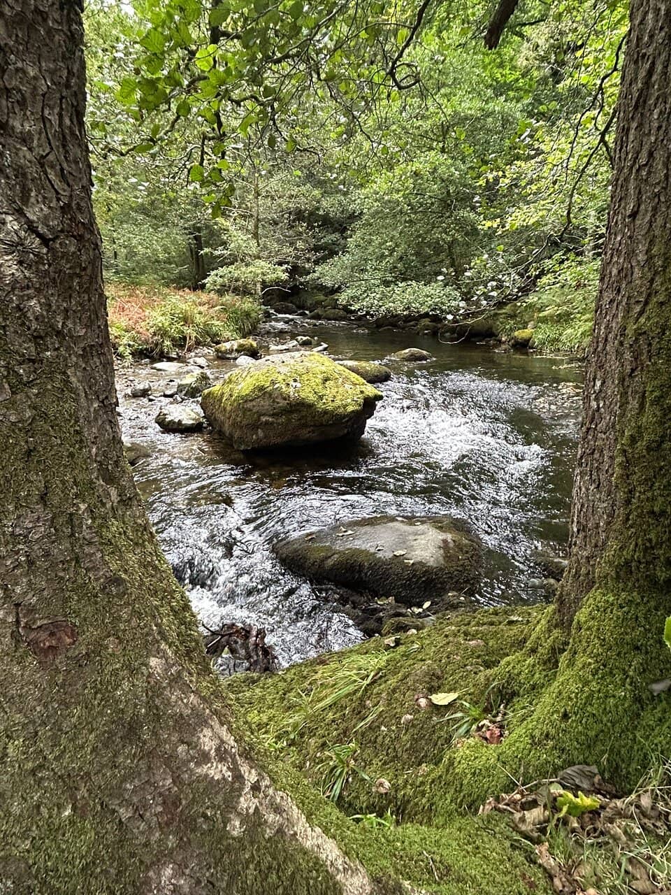 The Majestic Aira Force Waterfall