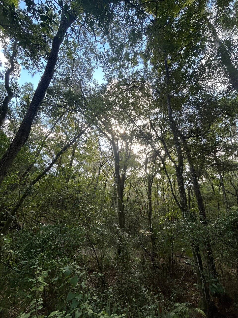 Vertical photo