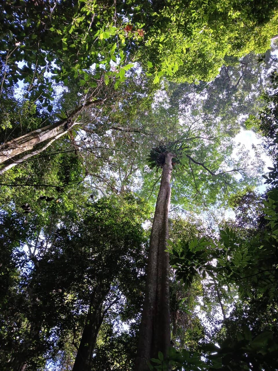 Vertical photo
